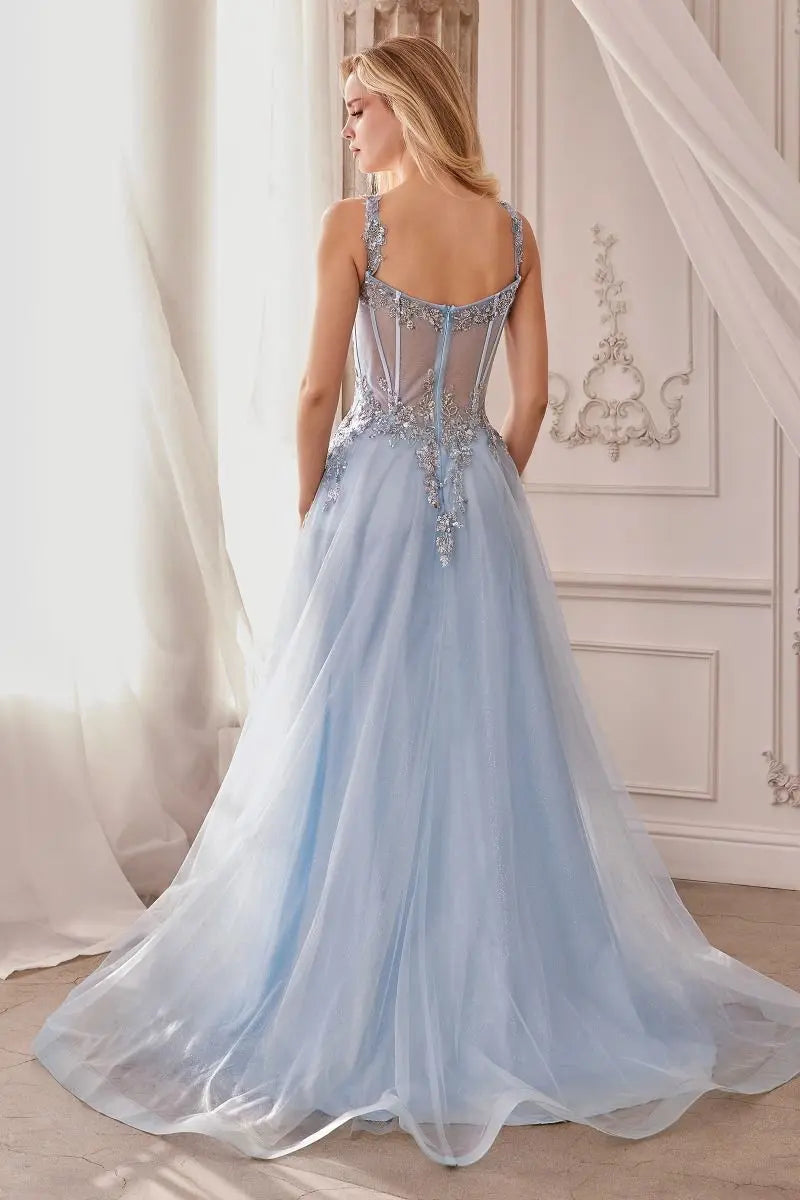 Embellished A-Line Tulle Ball Gown Tux-USA